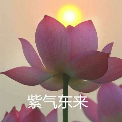 最囧游戏2答题器app下载